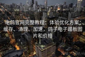 电鸽官网完整教程：体验优化方案：缓存、清理、加速，鸽子电子踏板图片和价格