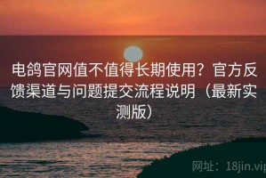 电鸽官网值不值得长期使用？官方反馈渠道与问题提交流程说明（最新实测版）