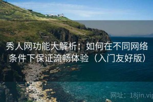 秀人网功能大解析：如何在不同网络条件下保证流畅体验（入门友好版）