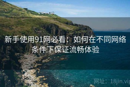 新手使用91网必看：如何在不同网络条件下保证流畅体验