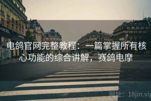 电鸽官网完整教程：一篇掌握所有核心功能的综合讲解，赛鸽电摩