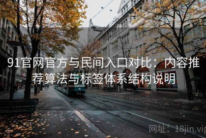 91官网官方与民间入口对比：内容推荐算法与标签体系结构说明