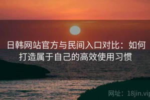 日韩网站官方与民间入口对比：如何打造属于自己的高效使用习惯