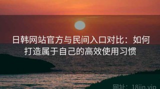 日韩网站官方与民间入口对比：如何打造属于自己的高效使用习惯