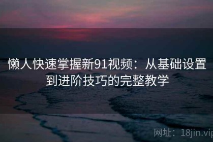 懒人快速掌握新91视频：从基础设置到进阶技巧的完整教学