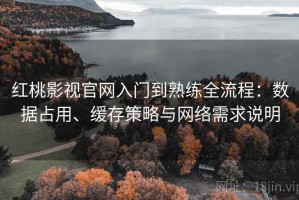 红桃影视官网入门到熟练全流程：数据占用、缓存策略与网络需求说明