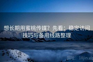 想长期用蜜桃传媒？先看：稳定访问技巧与备用线路整理