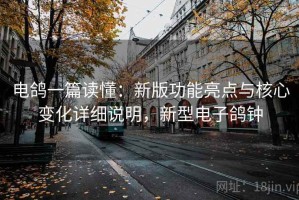 电鸽一篇读懂：新版功能亮点与核心变化详细说明，新型电子鸽钟