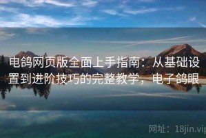 电鸽网页版全面上手指南：从基础设置到进阶技巧的完整教学，电子鸽眼