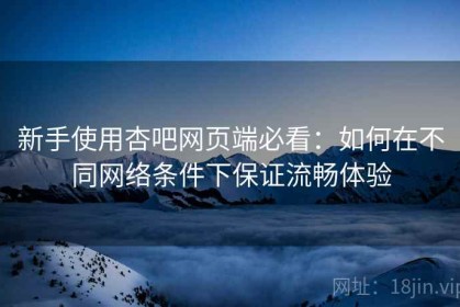 新手使用杏吧网页端必看：如何在不同网络条件下保证流畅体验