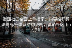 番茄社区全面上手指南：内容推荐算法与标签体系结构说明，番茄社区thor规则