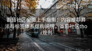 番茄社区全面上手指南：内容推荐算法与标签体系结构说明，番茄社区thor规则