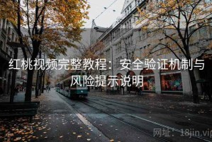 红桃视频完整教程：安全验证机制与风险提示说明