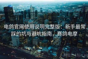 电鸽官网使用说明完整版：新手最常踩的坑与避坑指南，赛鸽电摩