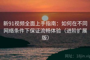 新91视频全面上手指南：如何在不同网络条件下保证流畅体验（进阶扩展版）