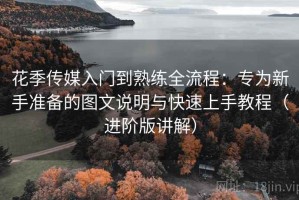 花季传媒入门到熟练全流程：专为新手准备的图文说明与快速上手教程（进阶版讲解）
