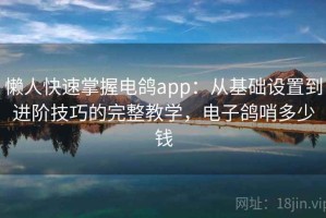 懒人快速掌握电鸽app：从基础设置到进阶技巧的完整教学，电子鸽哨多少钱