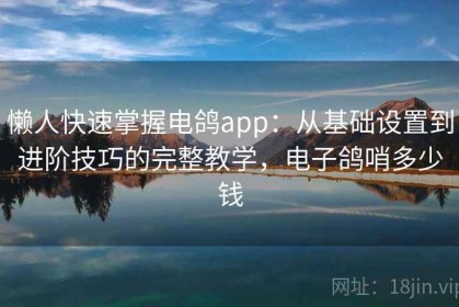 懒人快速掌握电鸽app：从基础设置到进阶技巧的完整教学，电子鸽哨多少钱