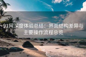 91网深度体验总结：界面结构差异与主要操作流程总览