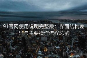 91官网使用说明完整版：界面结构差异与主要操作流程总览
