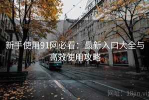 新手使用91网必看：最新入口大全与高效使用攻略