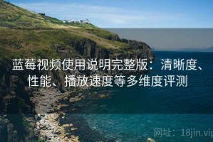 蓝莓视频使用说明完整版：清晰度、性能、播放速度等多维度评测