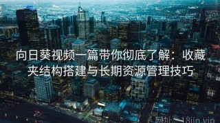 向日葵视频一篇带你彻底了解：收藏夹结构搭建与长期资源管理技巧