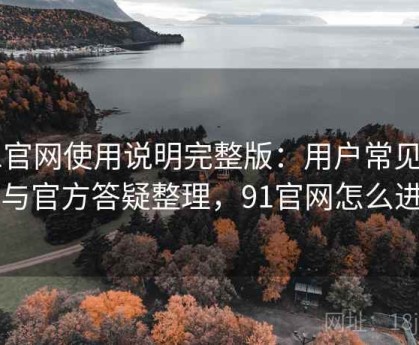 91官网使用说明完整版：用户常见困惑与官方答疑整理，91官网怎么进了