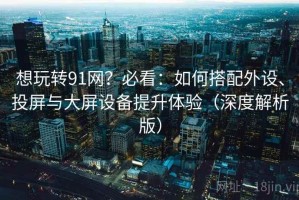 想玩转91网？必看：如何搭配外设、投屏与大屏设备提升体验（深度解析版）