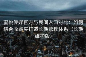 蜜桃传媒官方与民间入口对比：如何结合收藏夹打造长期管理体系（长期维护版）