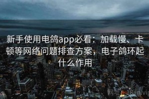 新手使用电鸽app必看：加载慢、卡顿等网络问题排查方案，电子鸽环起什么作用