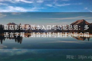 蘑菇影视多版本入口与功能总览：多语言字幕、语音选择与翻译功能介绍