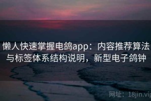 懒人快速掌握电鸽app：内容推荐算法与标签体系结构说明，新型电子鸽钟
