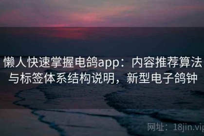 懒人快速掌握电鸽app：内容推荐算法与标签体系结构说明，新型电子鸽钟