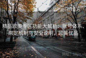 精品欧美专区功能大解析：账号体系、绑定机制与安全说明，欧美优品