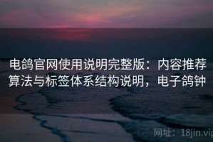 电鸽官网使用说明完整版：内容推荐算法与标签体系结构说明，电子鸽钟