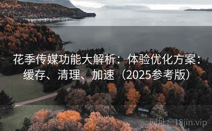 花季传媒功能大解析：体验优化方案：缓存、清理、加速（2025参考版）