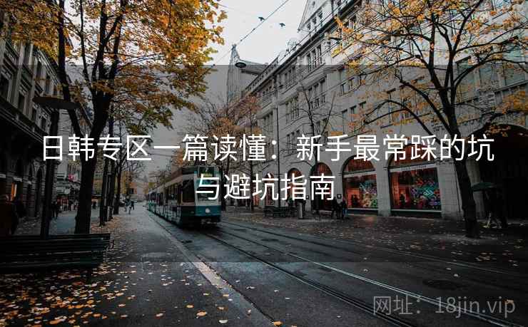 日韩专区一篇读懂：新手最常踩的坑与避坑指南