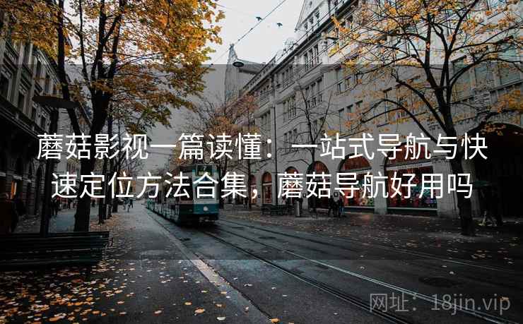 蘑菇影视一篇读懂：一站式导航与快速定位方法合集，蘑菇导航好用吗