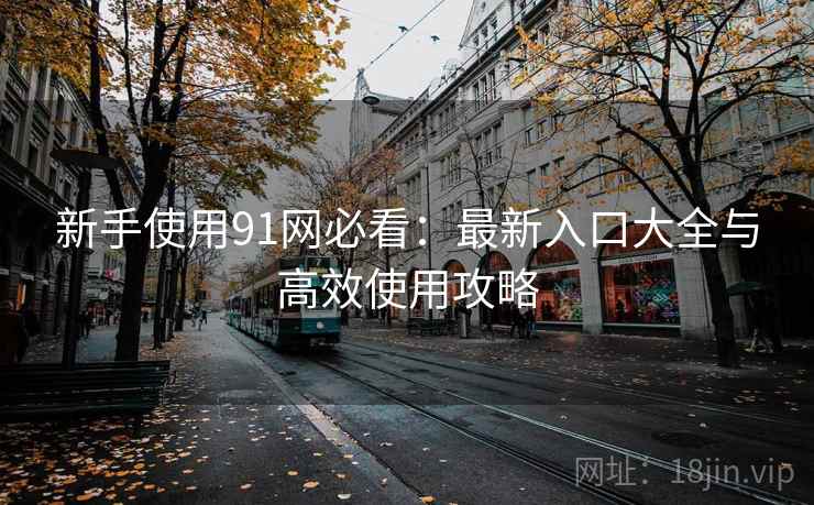 新手使用91网必看：最新入口大全与高效使用攻略