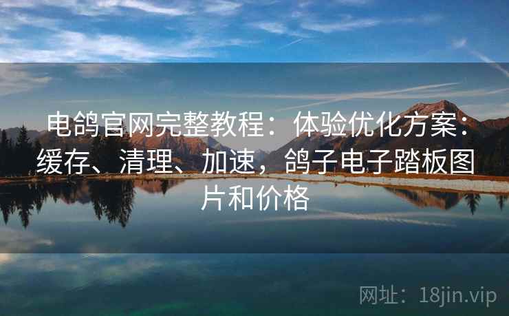电鸽官网完整教程：体验优化方案：缓存、清理、加速，鸽子电子踏板图片和价格