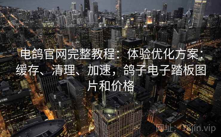 电鸽官网完整教程：体验优化方案：缓存、清理、加速，鸽子电子踏板图片和价格
