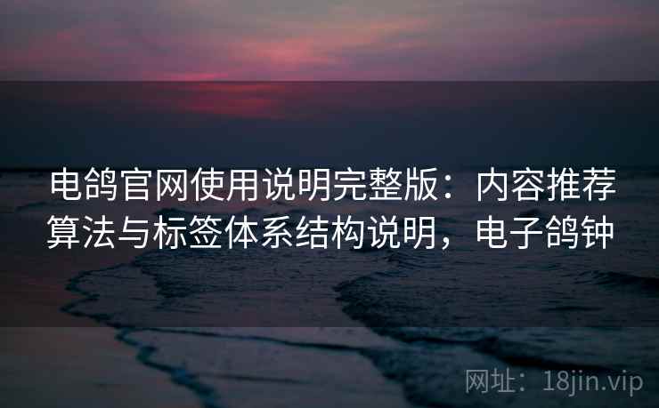 电鸽官网使用说明完整版：内容推荐算法与标签体系结构说明，电子鸽钟