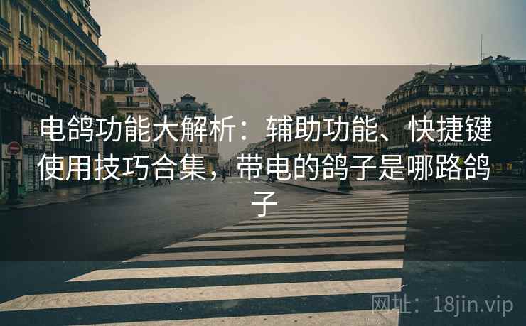 电鸽功能大解析：辅助功能、快捷键使用技巧合集，带电的鸽子是哪路鸽子