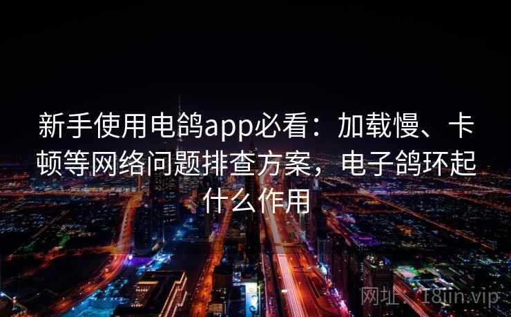 新手使用电鸽app必看：加载慢、卡顿等网络问题排查方案，电子鸽环起什么作用