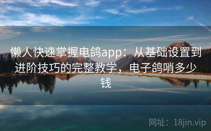 懒人快速掌握电鸽app：从基础设置到进阶技巧的完整教学，电子鸽哨多少钱