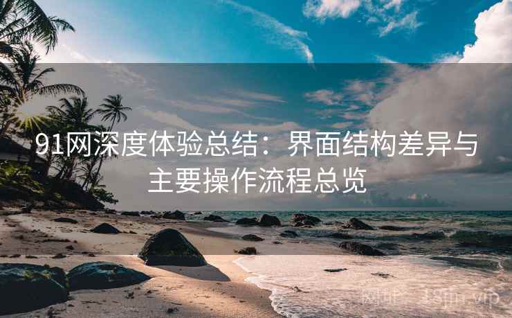 91网深度体验总结：界面结构差异与主要操作流程总览
