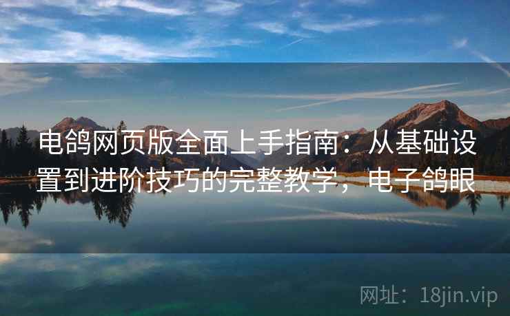 电鸽网页版全面上手指南：从基础设置到进阶技巧的完整教学，电子鸽眼
