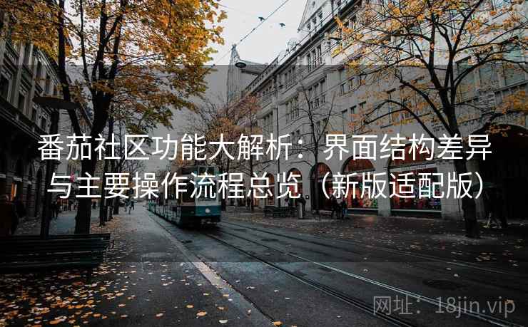 番茄社区功能大解析：界面结构差异与主要操作流程总览（新版适配版）