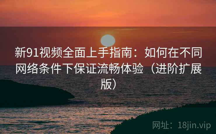 新91视频全面上手指南：如何在不同网络条件下保证流畅体验（进阶扩展版）